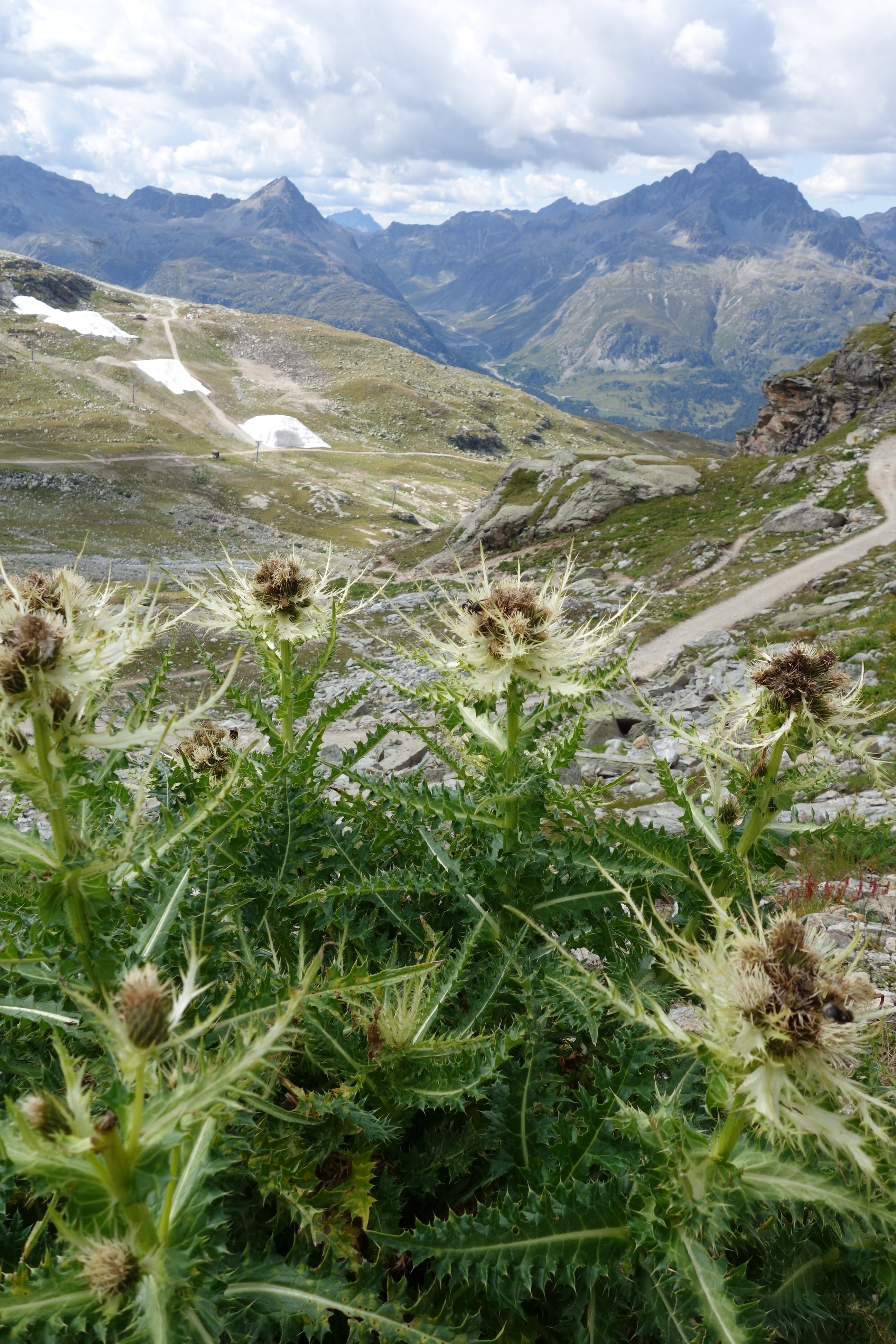 Switzerland
